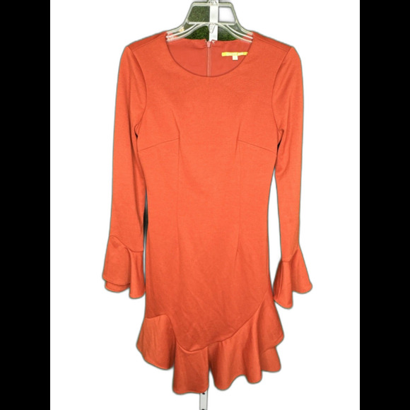 Gianni Bini Classy Orange Knee Length Dress ~ Sz 2 ~ Long Sleeve Flare - Picture 1 of 4